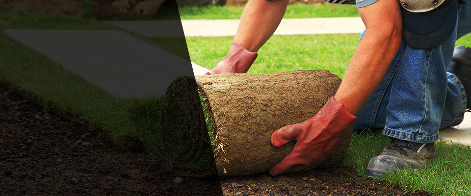 Punta Gorda Landscapers